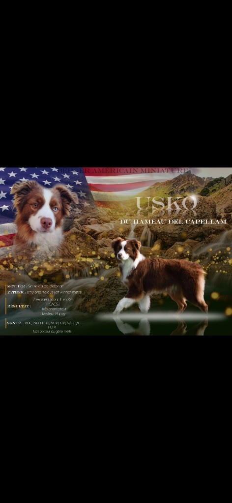Usko Du Hameau Del Capellam