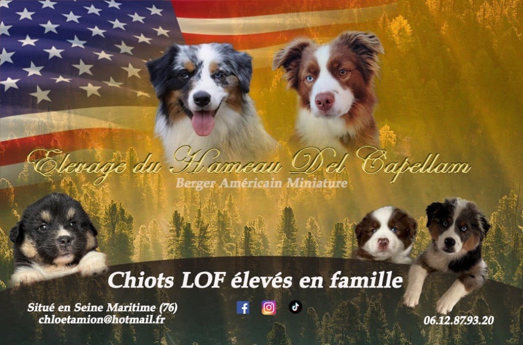NOUVELLE CARTE DE VISITE 